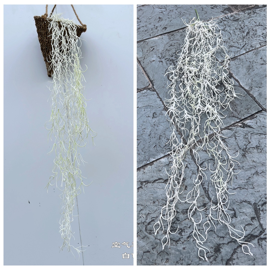 Erba aerea appesa bianca