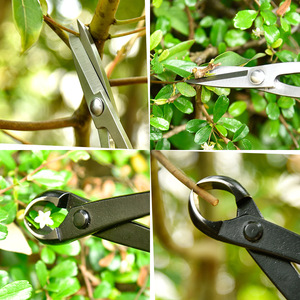 Stainless Steel Bypass Pruner Leaf Bud Cutter Indoor Plant Trimming Tool Manual Metal Handle - Product Image 4