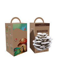 Boîte de culture de champignons personnalisée avec impression, kit de culture de champignons, boîtes d'emballage en carton pour la culture de champignons