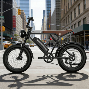 Ready to Ship Ebike Fat Tyre Dual Suspension Fat Tire Bicycle Light Off-Road - Product Image 4