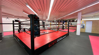 Conception gratuite Logo personnalisé Anneau de lutte de 5m x 5m avec escalier Anneau MMA carré à cadre facile à assembler de haute qualité à vendre