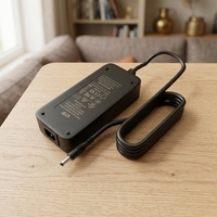 Chargeur intelligent LYD 18,25 V 5 A LiFePO4 avec protection multi-couches, sortie 91,25 W pour alimentation extérieure et vélos électriques