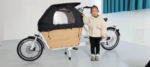 Vélo cargo électrique à deux roues pour bébé avec batterie au lithium, cadre en alliage d'acier/d'aluminium, <span class=keywords><strong>remorque</strong></span> familiale pour vélo - Product Image 3