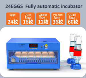 Incubateur d'oeufs <span class=keywords><strong>de</strong></span> <span class=keywords><strong>canard</strong></span> pour couver des cailles avec certificat CE - Product Image 3