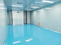 Panneau sandwich personnalisé mâle-femelle à emboîtement, fait main, isolé à l'isolation thermique A1, en laine de roche et MgO, pour laboratoire GMP sans poussière