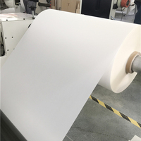 Rouleau de film de transfert DTF instantané double mat à décollement à chaud 60 cm pour impression par transfert thermique sur T-shirts et vêtements