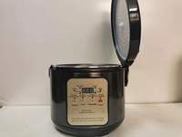 Fermenteur de vin de riz doux commercial automatique grande capacité 5L, nouveau style personnalisé pour usage domestique, modèle 2026, pour l'ail noir