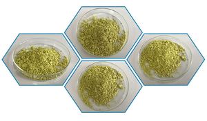 Yüksek Biyoyetkili Berberin Hidroklorür Fosfolipid Kompleksi Takviyeleri - Product Image 6