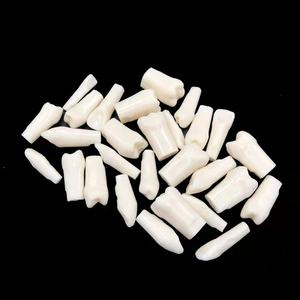 Modèle dentaire supérieur complet Sandra Dental Tw01 <span class=keywords><strong>pour</strong></span> l'enseignement des dents remplaçables - Acier inoxydable et acrylique - Product Image 6