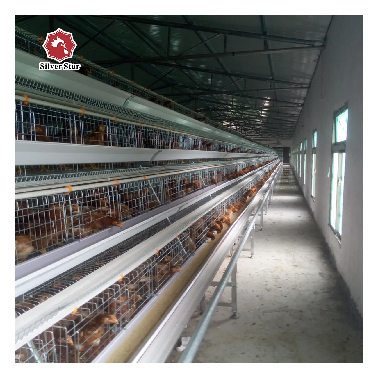 Silver Star Poultry Farming Equipment Chicken Cages A Type Wire Mesh Chicken Layer Cages
