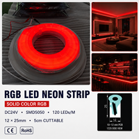 Ruban LED néon RGB 12x25mm, LED néon latérale, étanche, lumière néon RGB, DC24V SMD5050 pour projets extérieurs