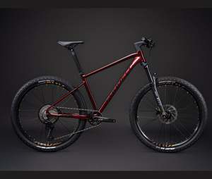 SUNPEED profesyonel fabrika Mtb 29 "tekerlek 12 hız alaşım dağ bisikleti - Product Image 6