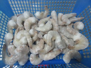 Suministro de China de alta calidad Fujian <span class=keywords><strong>o</strong></span> Shantou Factory Iqf Frozen Vannamei Shrimp - Product Image 4