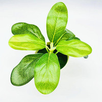 Mini-plantes artificielles réalistes en pot, bonsaïs, petites plantes vertes décoratives pour la maison, le bureau, la table