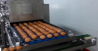 Ligne de production de liquide d'œuf, l'œuf entier est pasteurisé