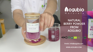 Aogubio Suministro Acai Berry en polvo muestra gratis <span class=keywords><strong>Acaiberry</strong></span> fruta en polvo Extracto de planta Acai Berry en polvo - Product Image 3