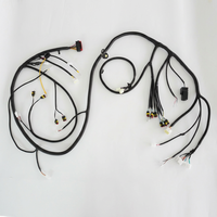 OEM ODM Kabel Harness Kelistrikan Elektronik Kustom untuk Mobil Sepeda Motor-Sistem Kelistrikan Otomotif TUV untuk