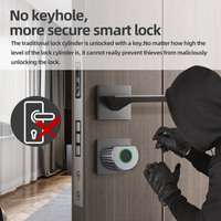 Serrure de porte intelligente JIXIN de haute qualité avec application Ttlock & Tuya, RFID, empreinte digitale, mot de passe, cylindre numérique pour porte en bois