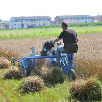Moissonneuse-lieuse portée BCS pour la récolte du riz |   Champ de riz |   Largeur de travail de 140 mm |   Garantie d'un an