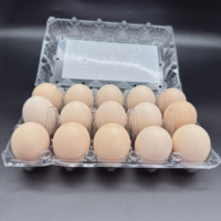 Réfrigérateur de cuisine pour supermarché et maison Carton d'oeufs en plastique bon marché transparent 3*5 = 15 trous Boîte de Taris d'oeufs pour la ferme et la maison