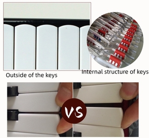 <span class=keywords><strong>Acordeón</strong></span> Ligero <span class=keywords><strong>de</strong></span> 26 Teclas y 48 Bajos con Correas Ajustables y Estuche, Instrumento Musical para Niños Principiantes, Regalos Musicales para Niños - Product Image 6