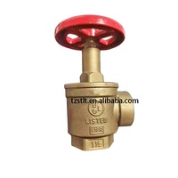 Vanne de tuyau d'incendie en laiton femelle DN50 2 pouces pour vanne d'hydrant