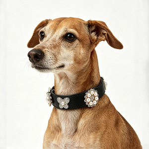 PU Pet <b>Collar</b> Traction Rope Set Diamond Accessories <b>Dog</b> <b>Collar</b> Pickup Bag - Product Image 1