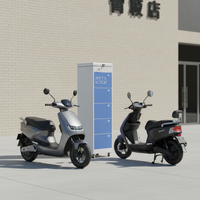 Gabinete de Intercambio de Baterías Inteligente ESINO, Carga Rápida PD para Bicicletas Eléctricas, 1 Año de Garantía, Popular en Indonesia y Malasia