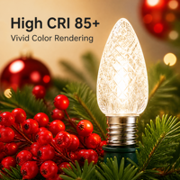 Ampoules LED C9 professionnelles à intensité variable, étanches IP65, pour décorations de Noël en extérieur