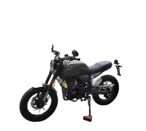 China 300cc motorcycles FUEGO SCRAMBLER 300 Powerful water cooled motorcycle No.22073105