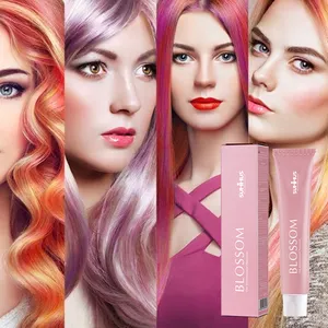 OCCA bio-Großhandel Haarpflegeset italienische Marken dauerhafte Befestigung veganes Haarfarbstoff Farbcreme