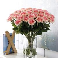 Handgemachte moderne Acryl Display Zylinder Vase transparent umwelt freundlich und recycelbar für den Heim-oder Büro gebrauch