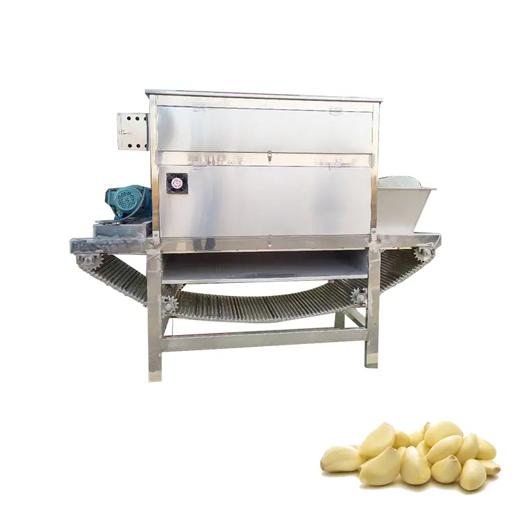 Small Scale 200kgh Automatic Fresh Garlic Peeling Machine Dry Garlic Peeler Machine for USA Market