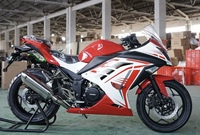 Moto sportive tout-terrain Renzhe Ninjas de type nouveau, 250cc, à essence, vitesse maximale >80 km/h, fabriquée par MZ