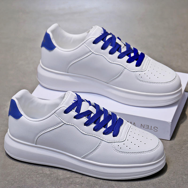 หางสีขาวและสีน้ำเงิน