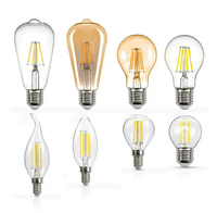 DC12V 24V 2W 4W 6W PWM Dimmable Edison Ampoule E26 E27 B22 LED Lampe A19 A60 G85 LED Ampoule à filament