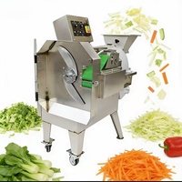 Instelbare dikte industriële groentesnijder, -schaafmachine en -snijmachine, multifunctionele snijmachine voor groenteverwerking