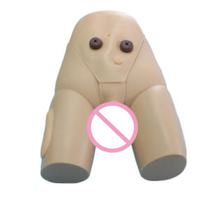 แบบจำลองการสวนปัสสาวะชายขั้นสูง อุปกรณ์ช่วยสอนการสวนปัสสาวะในมนุษย์ แบบจำลองฝึกอบรมการพยาบาลการสวนปัสสาวะ - Product Image 4