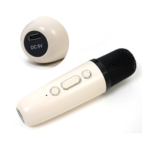 Mini Enceinte Karaoke Portable de Qualité avec Microphone Sans Fil et Lumières Colorées pour Enfants et Adultes, Métal Actif RGB
