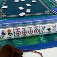160pcs Set Ubin Mahjong Akrilik Amerika 2-Lapis Gaya Dekorasi Hutan Biru untuk Pesta Permainan Mahjong AS