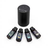 Diffuseur d'huiles essentielles portable en métal sans eau - Kit de démarrage - Comprend 4 x 10 ml d'huiles essentielles - Utilisation en voiture - Purificateur d'air - Aromathérapie