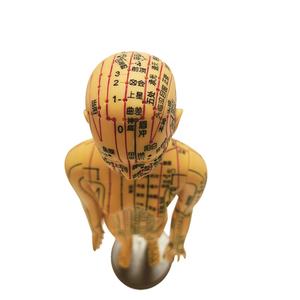 महिला एक्यूपंक्चर मॉडल मैनिकिन बिंदुओं के साथ चिकित्सा विज्ञान उत्पाद - Product Image 3