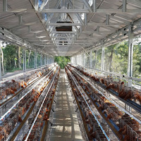 Edificio Prefabricado de Metal para Granjas Avícolas, Estructura de Acero para Cría de Pollos de Engorde y Gallinas Ponedoras, Instalación para Cría de Ganado, OEM ODM EN1090 CE