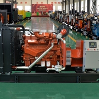 Generador de Gas Natural de 180kW a Bajo Precio, Generador de GNL/PNG de 225kVA con Controlador de Marca, Motor Yuchai YC6MK315N-D30 para Granjas Ganaderas