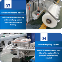 Machines d'emballage par thermoformage Date MINI machine d'emballage sous vide thermoforme dattier saucisse maïs