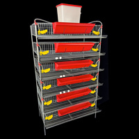 Cage à cailles galvanisée à plusieurs niveaux de type H avec système d'alimentation et d'abreuvement automatique pour la production commerciale d'œufs et l'élevage