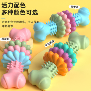 Đồ Chơi Vật Nuôi Tpr Xương Hình Dạng Con Chó Đồ Chơi Cho Nhỏ Vừa Lớn Chó Mọc Răng Chán Chở Buster Đầy Màu Sắc Xương Chew Con Chó Đồ Chơi - Product Image 4