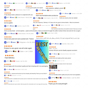 Phụ kiện nối chữ T 4mm 6mm/8mm/10mm/12mm, khớp nối đẩy, nhựa, dùng cho hệ thống phun sương tưới tiêu vườn, khí nén - Product Image 2