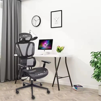 Chaise de bureau ergonomique pivotante et réglable en maille, confortable et tendance 2024, au design moderne, pour la maison et le bureau (vente en gros)