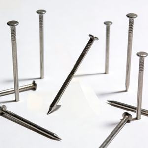 Clavos Comunes de Acero al Carbono Galvanizado, Clavos Comunes de Alambre Pulido con Cabeza Plana para Construcción, Carpintería y Enmarcado - Product Image 5